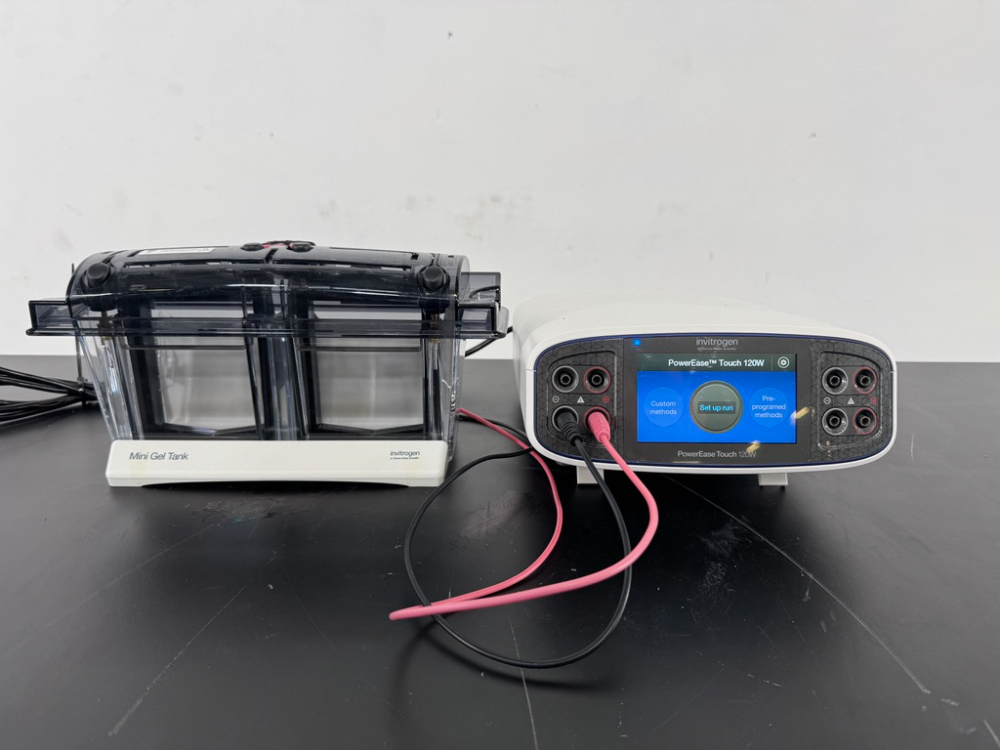 Image of Invitrogen PowerEase Touch Electrophoresis Power Supply